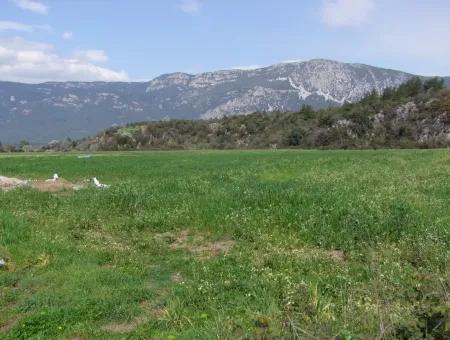 In Akyaka Zum Verkauf: Grundstück Zum Verkauf Bauernhof Zum Verkauf Einer Farm In Der Nähe Vom Meer, In Ars, Yatirimlik 21625M2