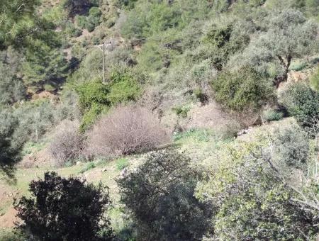 Landwirtschaftliche Grundstück Zum Verkauf Mit Meerblick Zum Verkauf In Gokbel