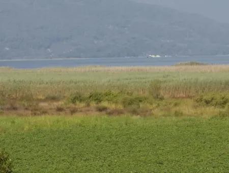 Seeblick Villa Zum Verkauf In Dalyan Eskikoy