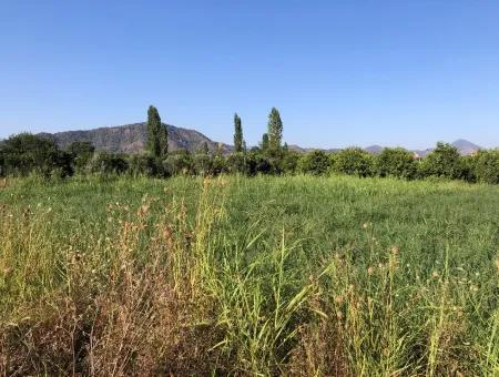 Land Zum Verkauf Im Zentrum 891M2 Land Zu Verkaufen