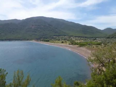 Ekincik Land Zu Verkaufen Ganz In Der Nähe Des Meeres 2000M2 Land Zu Verkaufen