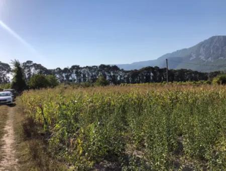 Field Zu Verkaufen In Ak'apinar 100 Acres Zu Verkaufen