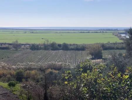 Grundstück Zum Verkauf Mit Meerblick Von Fevziye