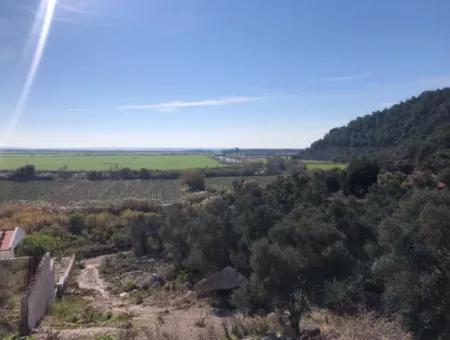 Grundstück Zum Verkauf Mit Meerblick Von Fevziye