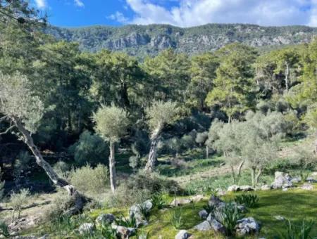 4000M2 Feld Zum Verkauf Mit Seeblick In Çandir