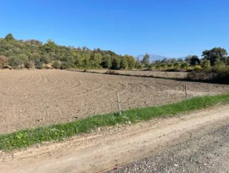 6254M2 Feld Zum Verkauf In Der Nähe Von Dalyan In Eskiköy