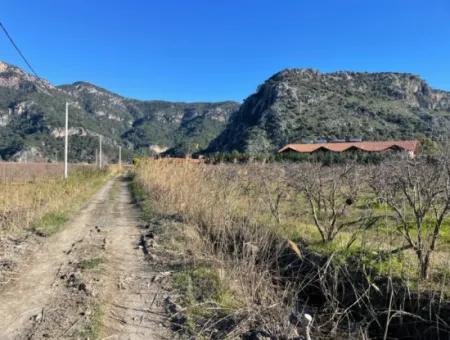 Dalyan Iztuzu Road Zero 5216M2 Feldgrundstück Zum Verkauf