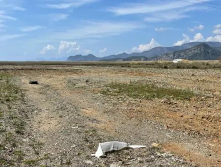 Dalyan Iztuzu Strand Straße Null 19.600M2 Feld Land Zum Verkauf