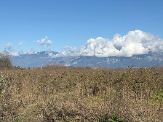23.000 M² Großes Freistehendes Grundstück In Tepearası Zu Verkaufen.