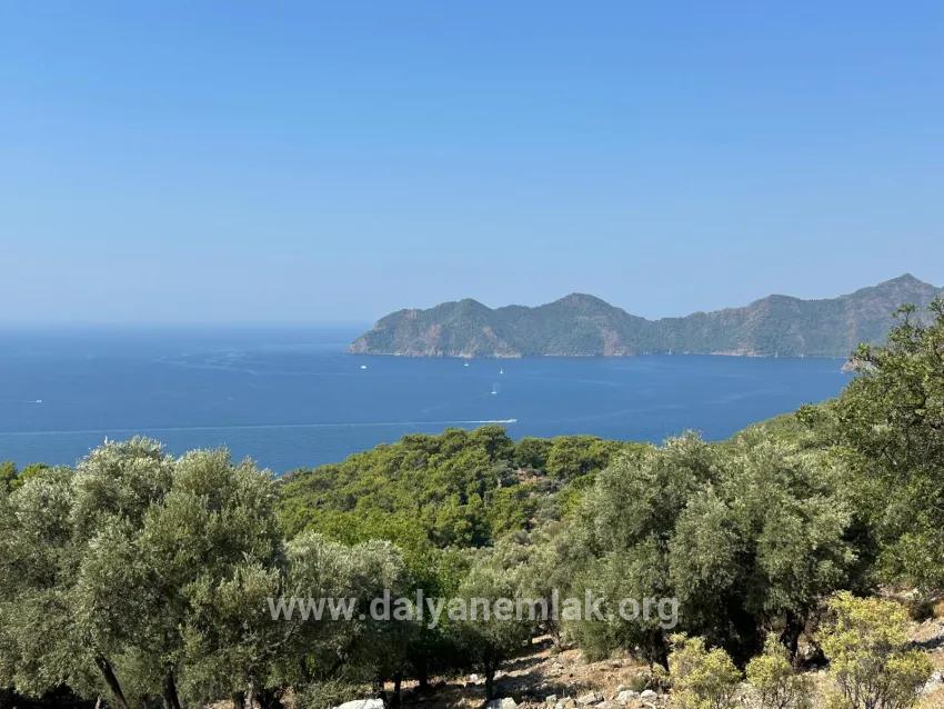 Field For sale in Çandır Nbh. Köyceğiz - Field Zoned - 21.000 m²