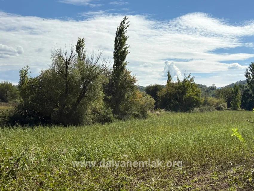 Field For sale in Zeytinalanı Nbh. Köyceğiz - Field Zoned - 10.500 m²