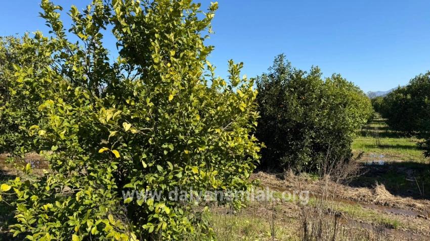 Land For sale in Okçular Nbh. Ortaca - Housing Zoned - 2.218 m²
