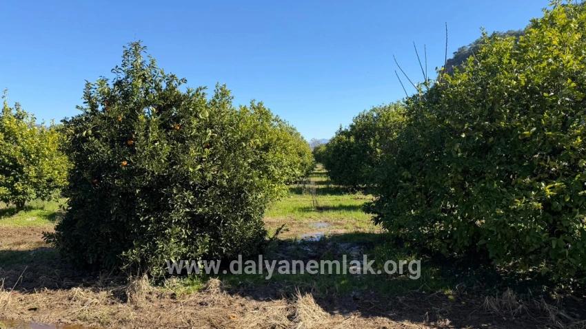 Land For sale in Okçular Nbh. Ortaca - Housing Zoned - 2.218 m²