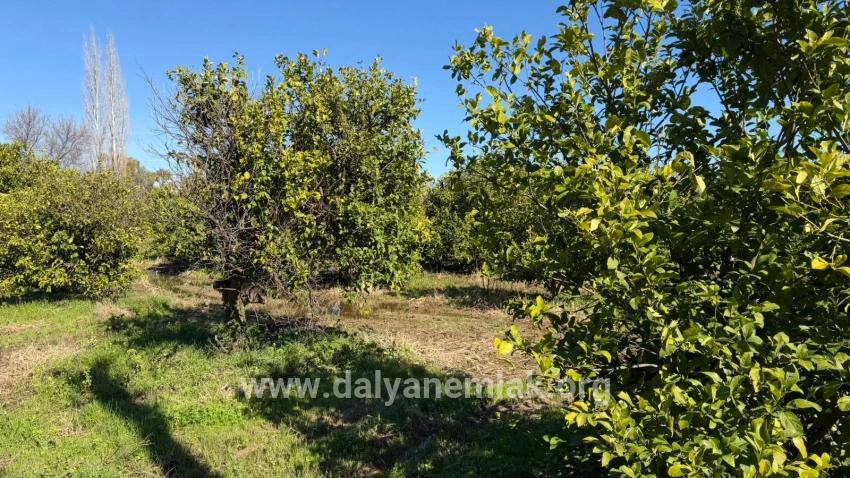 Land For sale in Okçular Nbh. Ortaca - Housing Zoned - 2.218 m²