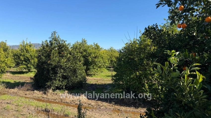 Land For sale in Okçular Nbh. Ortaca - Housing Zoned - 2.218 m²
