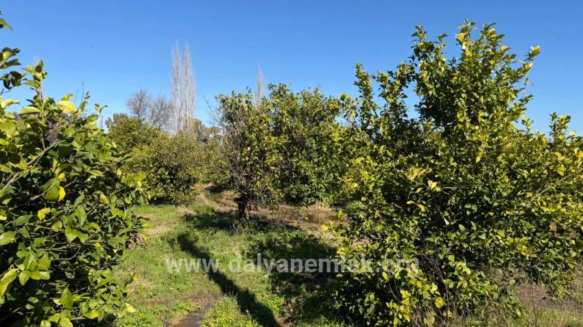 Land For sale in Okçular Nbh. Ortaca - Housing Zoned - 2.218 m²