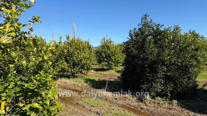 Land For sale in Okçular Nbh. Ortaca - Housing Zoned - 2.218 m²