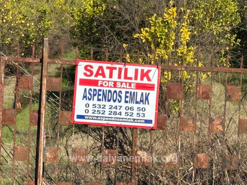 23,000 M² Detached Land For Sale In Tepearası.
