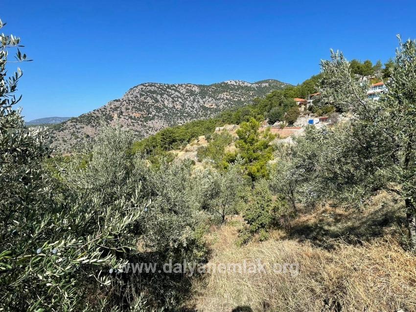 3514m2 Land For Sale With Full Sea View In Gökbel