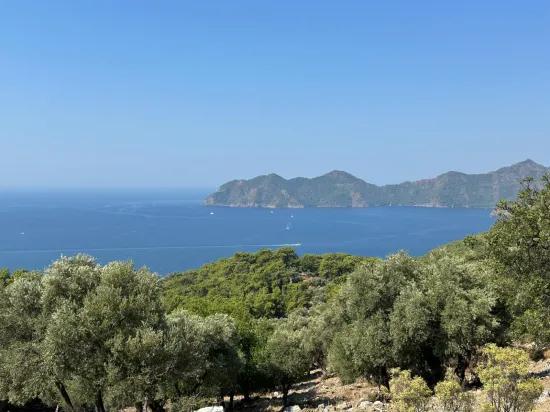 Field with sea view, 21.000 m2, 2b, for sale In Çandır