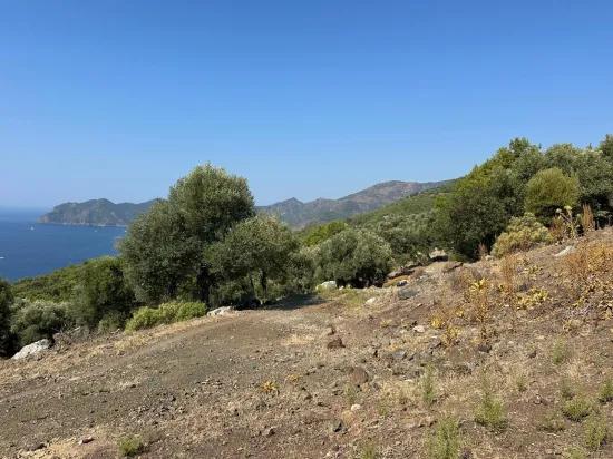 Field with sea view, 21.000 m2, 2b, for sale In Çandır