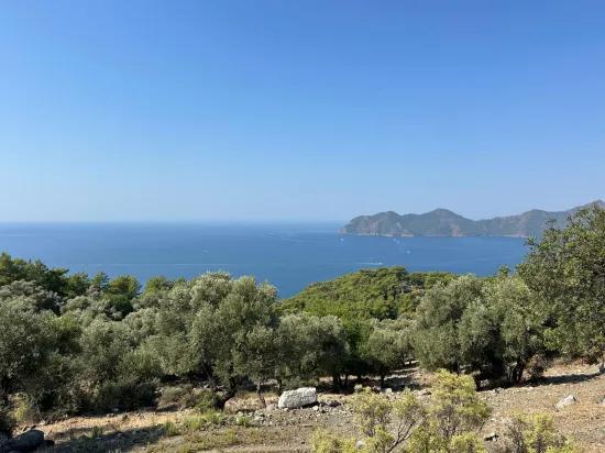 Field with sea view, 21.000 m2, 2b, for sale In Çandır