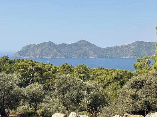 Field with sea view, 21.000 m2, 2b, for sale In Çandır