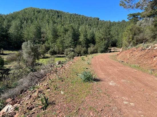 Land For Sale In Gökbel, Surrounded By Nature And Forest.