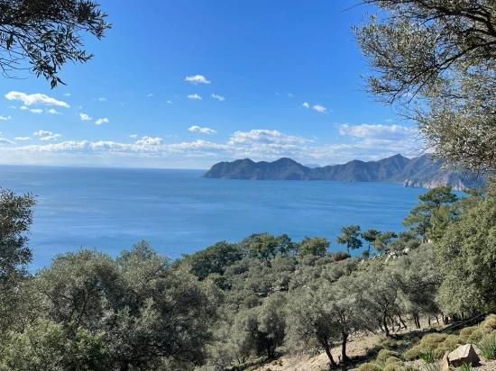 Çandır 20.000m2 2b For Sale With Full Sea View