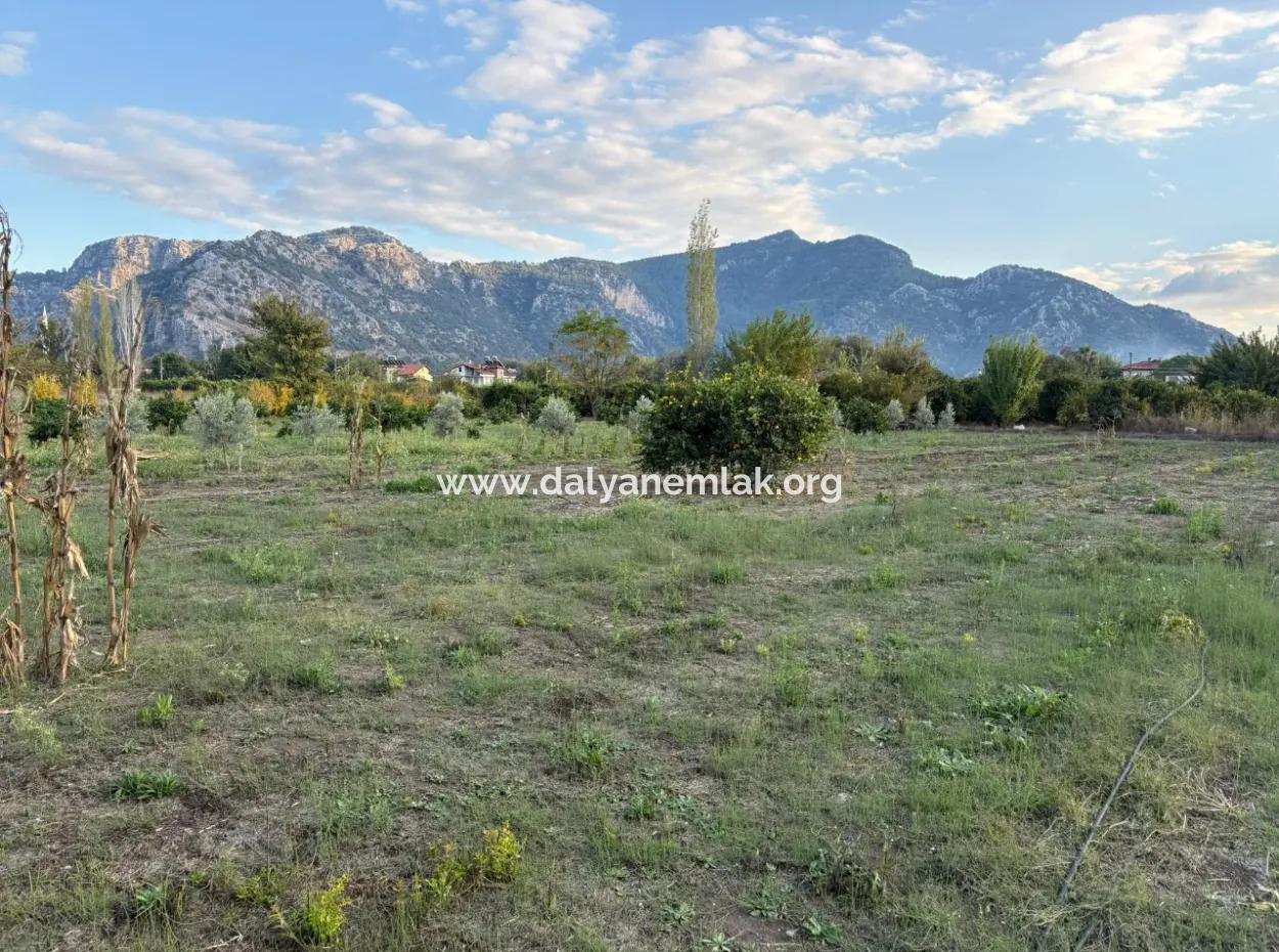 7,450M2 Land For Sale Close To The Center Of Dalyan