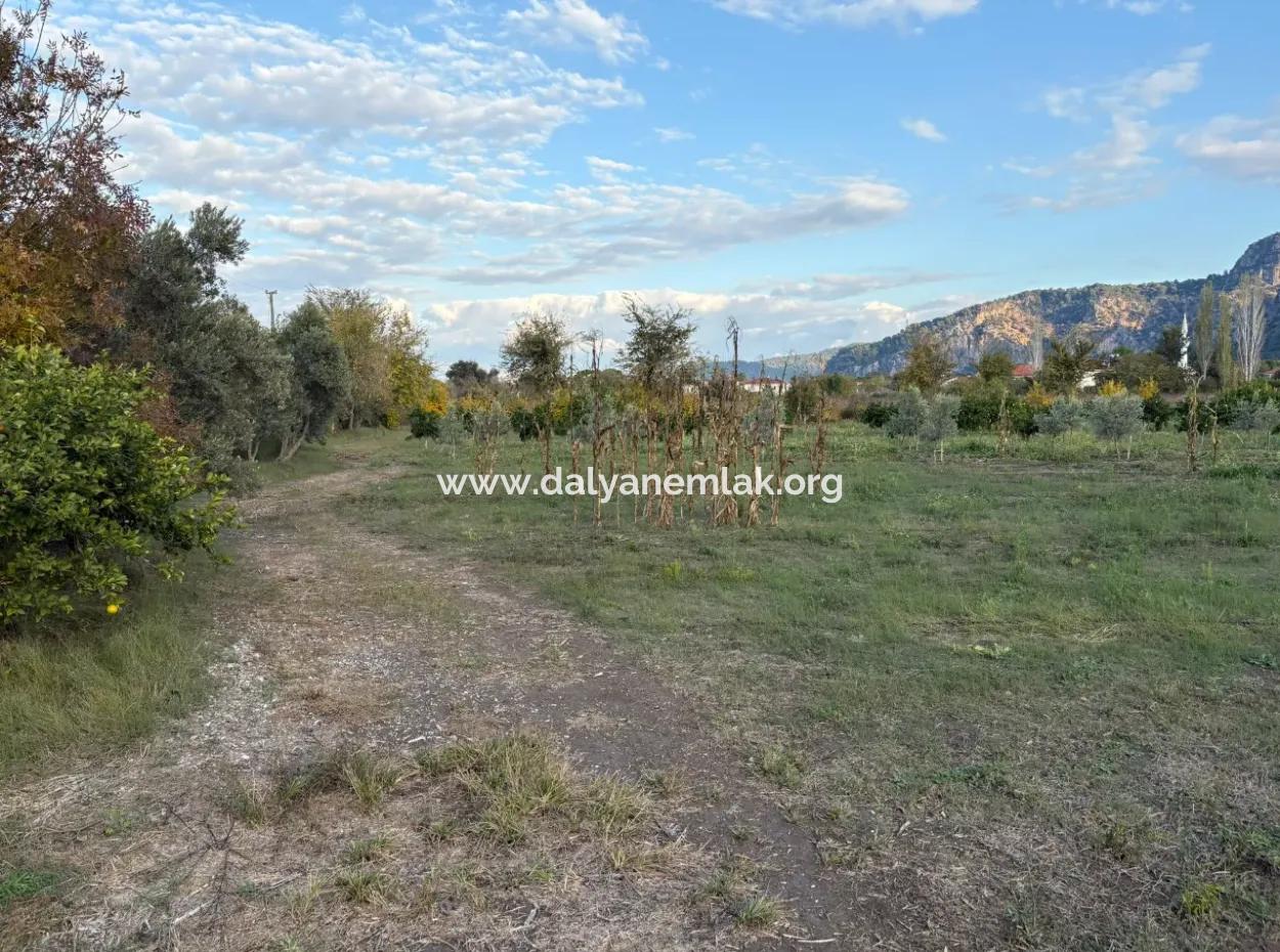 7,450M2 Land For Sale Close To The Center Of Dalyan
