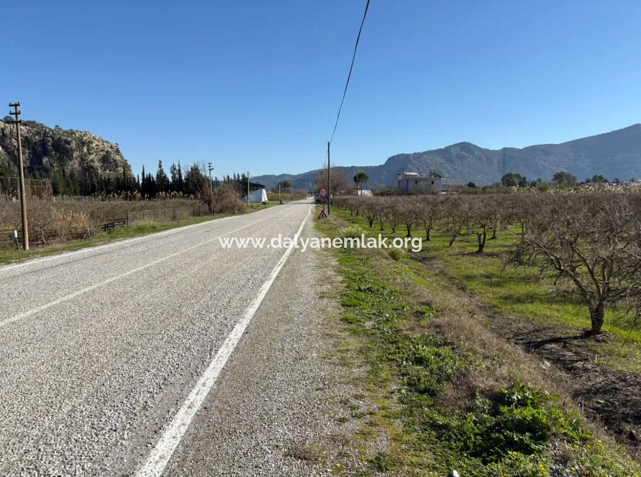 5985M2 5% Zoned Land For Sale In Dalyan As Vineyard Garden