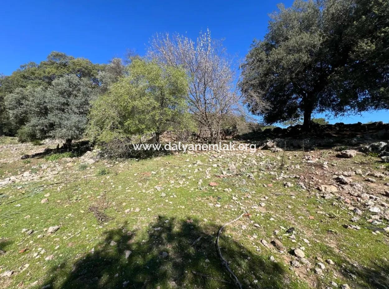 Land For Sale In Nature And Forest In Gökbel