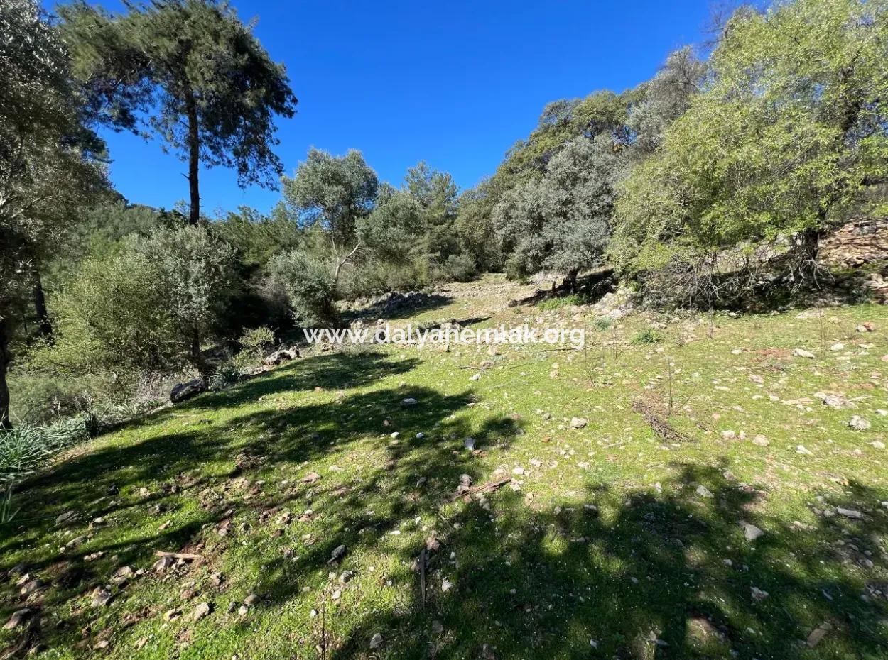 Land For Sale In Nature And Forest In Gökbel