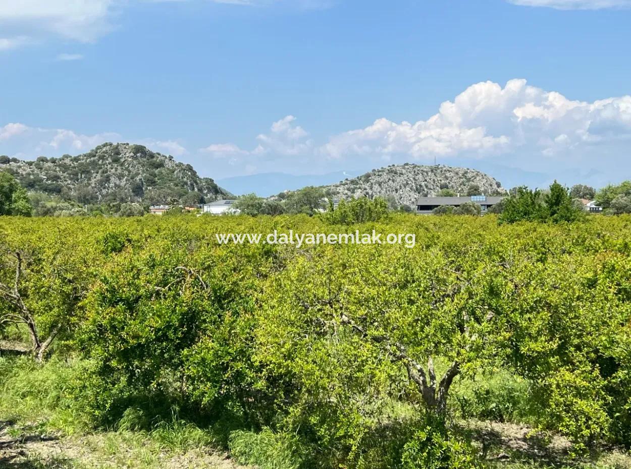5,100M2 Land For Sale In Dalyan Maraş Area With 5% Residential Zoning