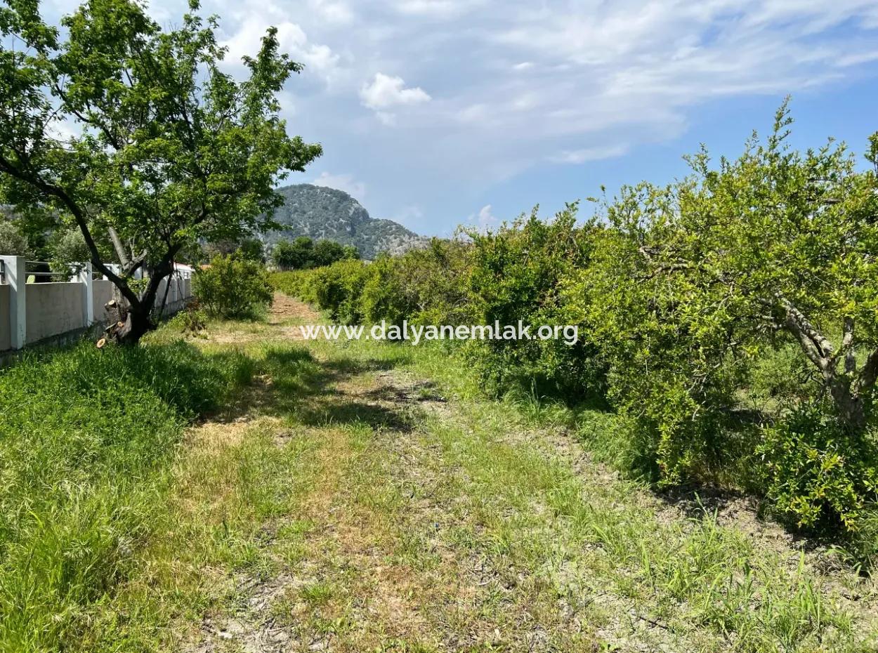 5,100M2 Land For Sale In Dalyan Maraş Area With 5% Residential Zoning