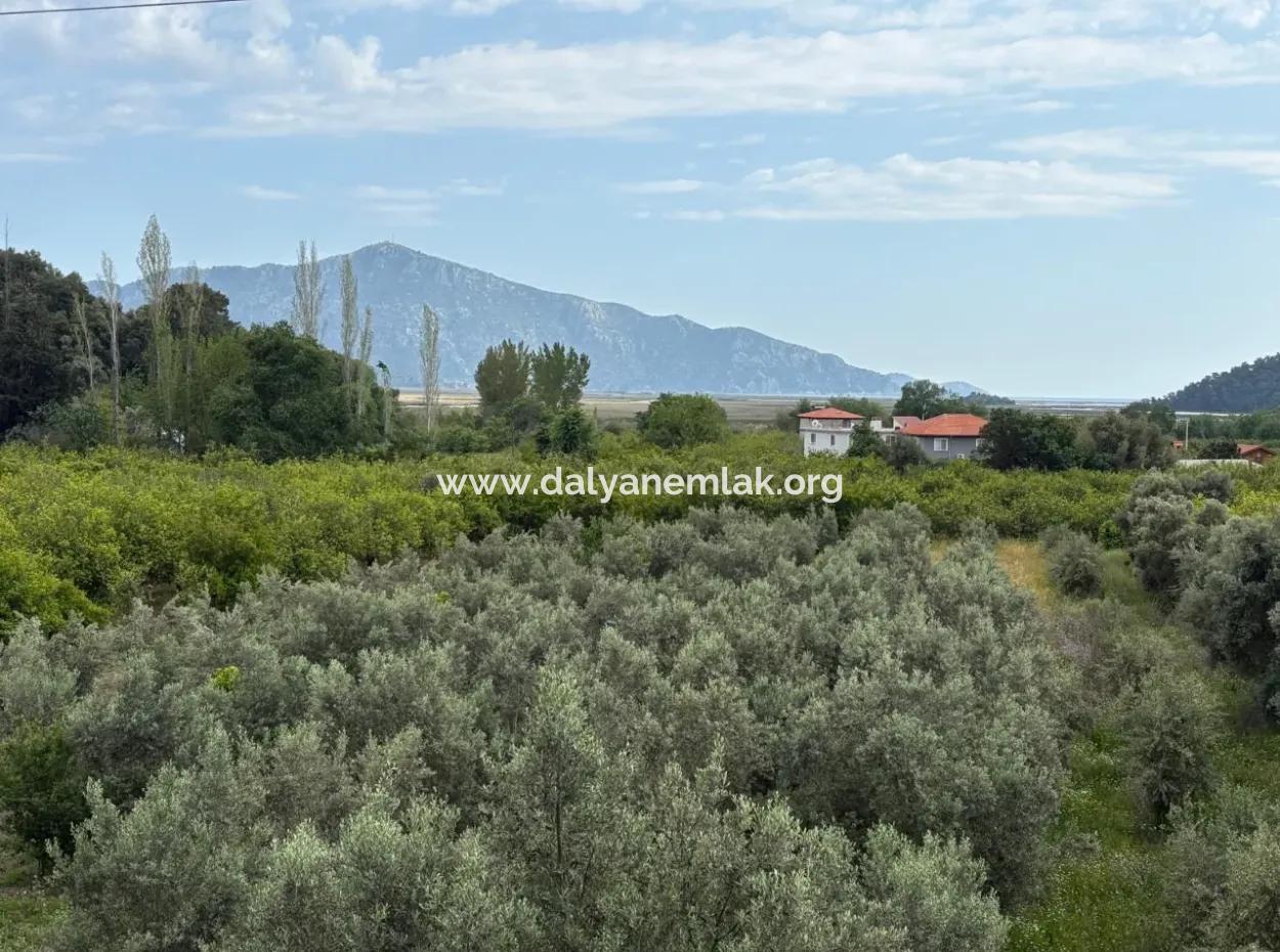 1,721M2 Land For Sale In Çandır Village With Sea And Lake Views