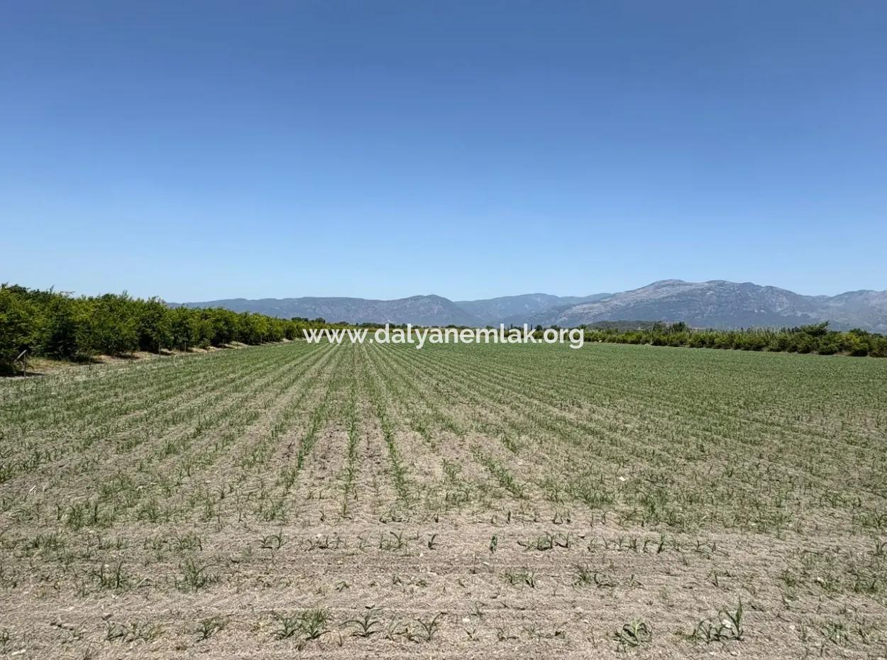 46,550M2 Land For Sale In Tepearası