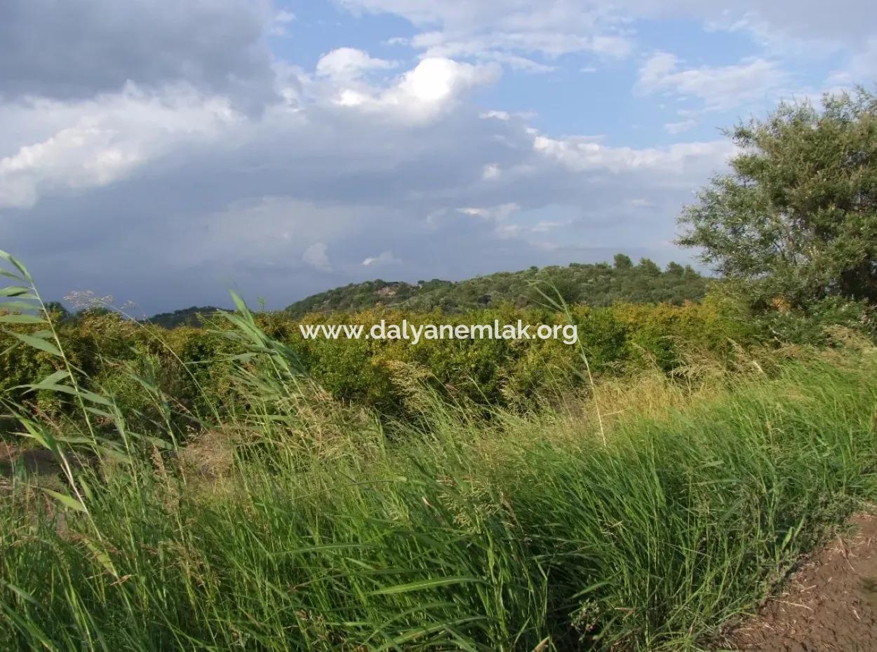 Farm For Sale Near The Centre Of Dalyan,14, 612M2 Farm For Sale