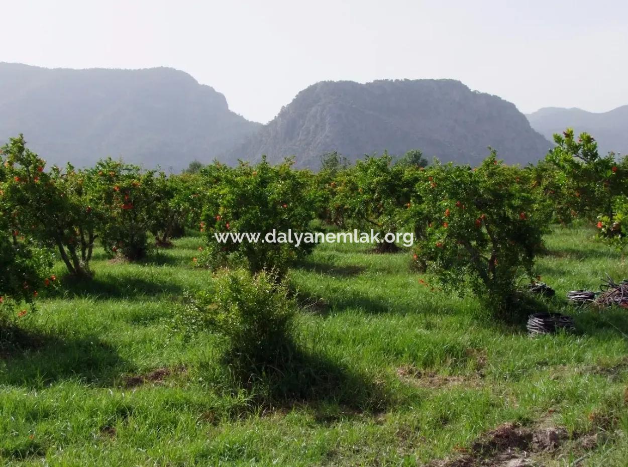 Merkez Dalyan Iztuzu Lake Garden Villa For Sale