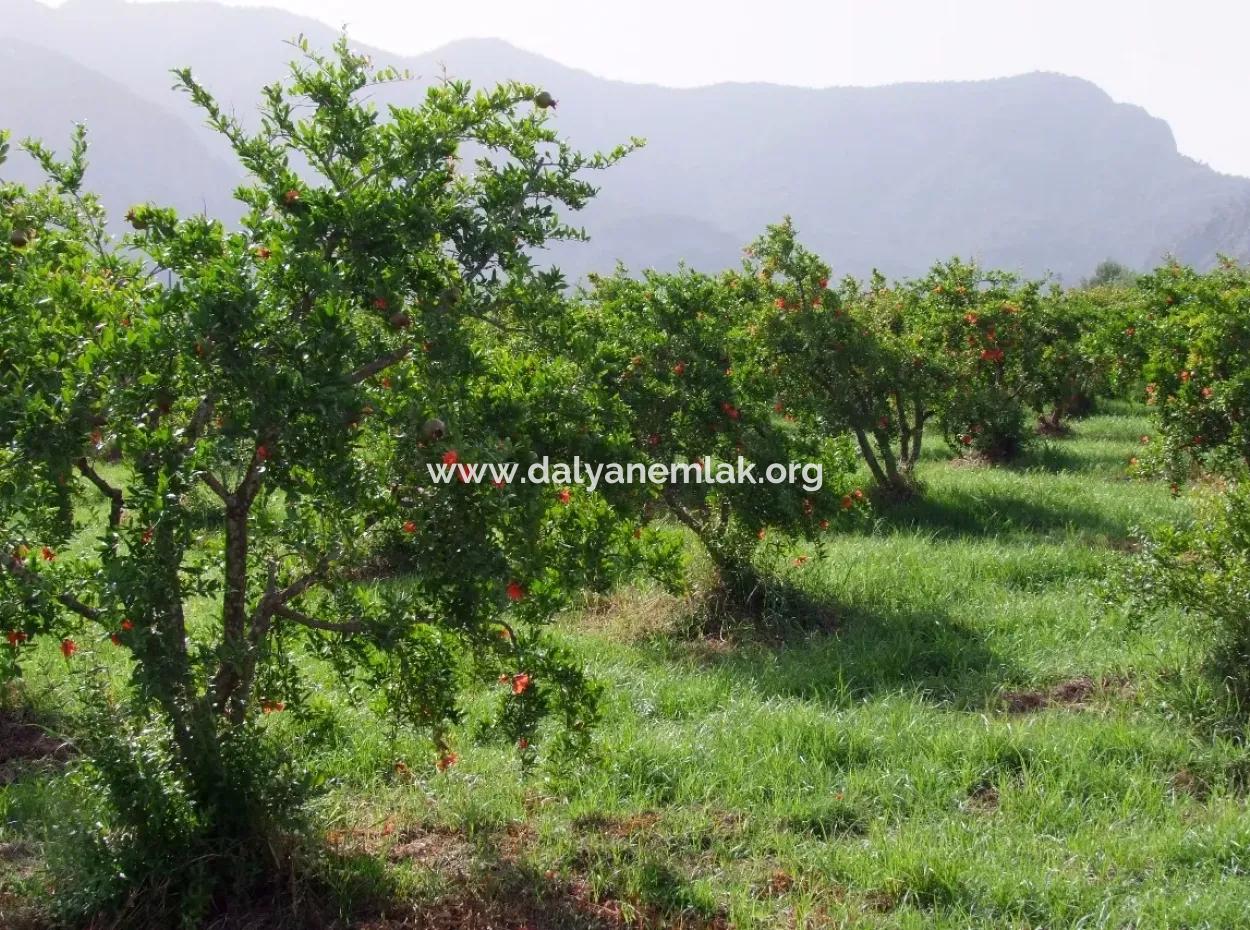 Merkez Dalyan Iztuzu Lake Garden Villa For Sale