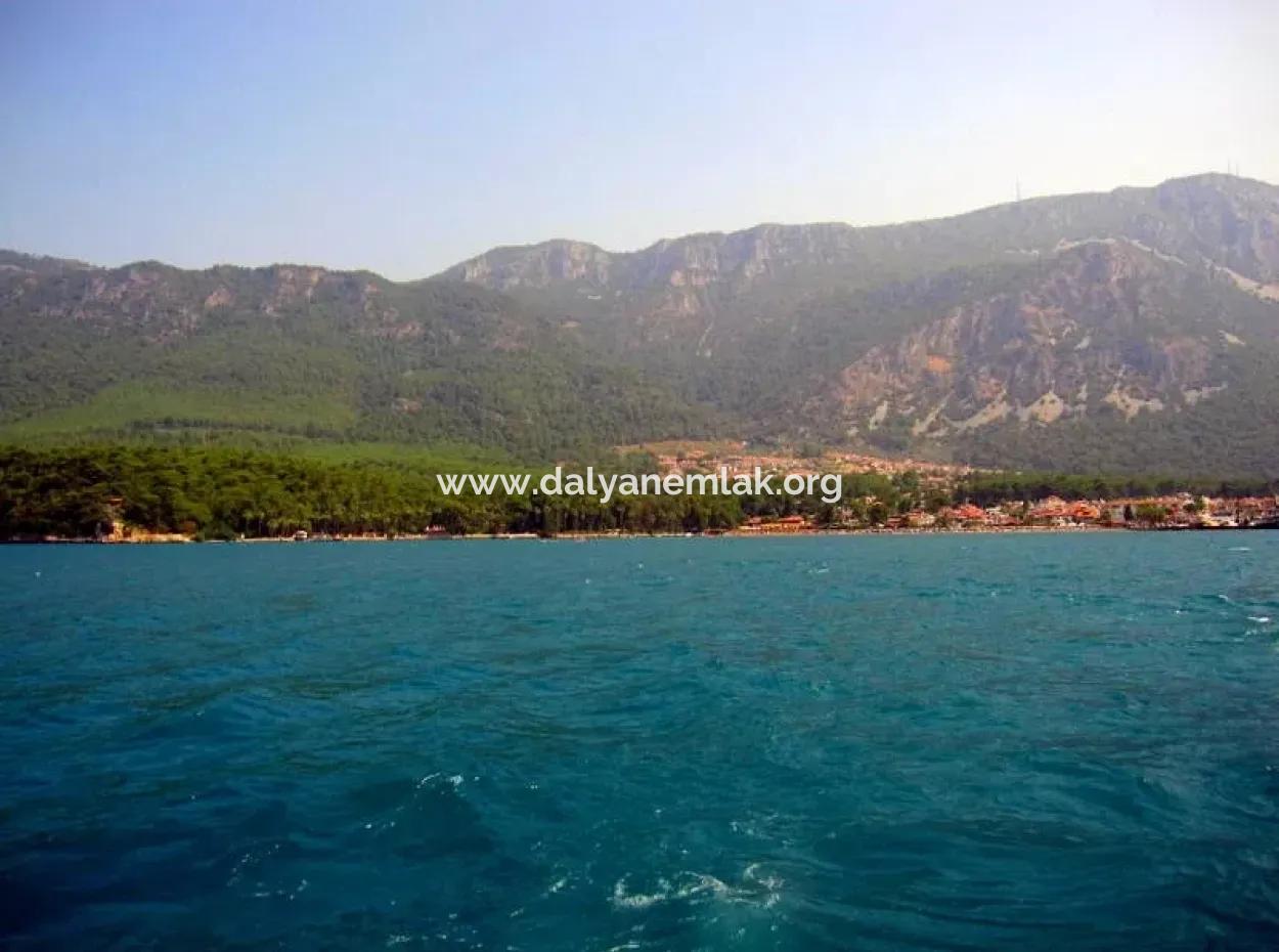 Gökçe Gökçe 21671M2 Farm For Sale For Sale