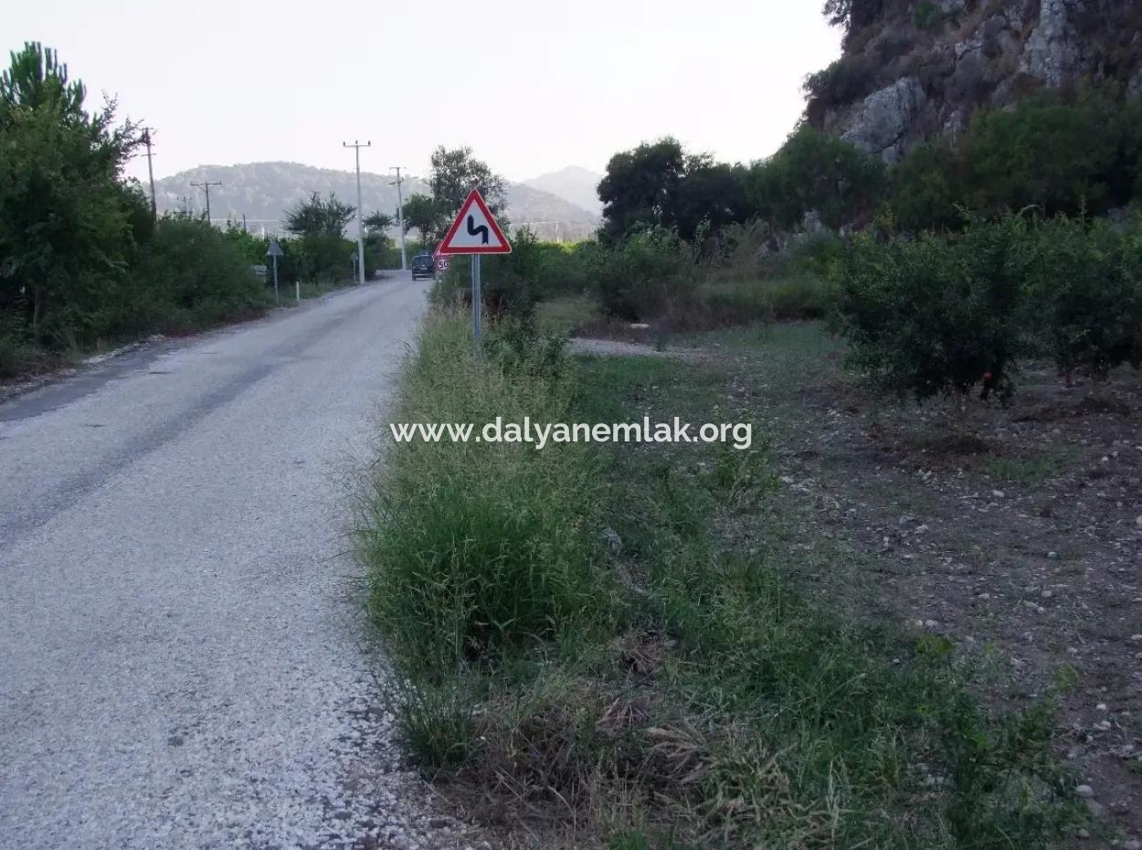 Plot For Sale In Pomegranate Garden For Sale In Oriya Mergenli Mergenli