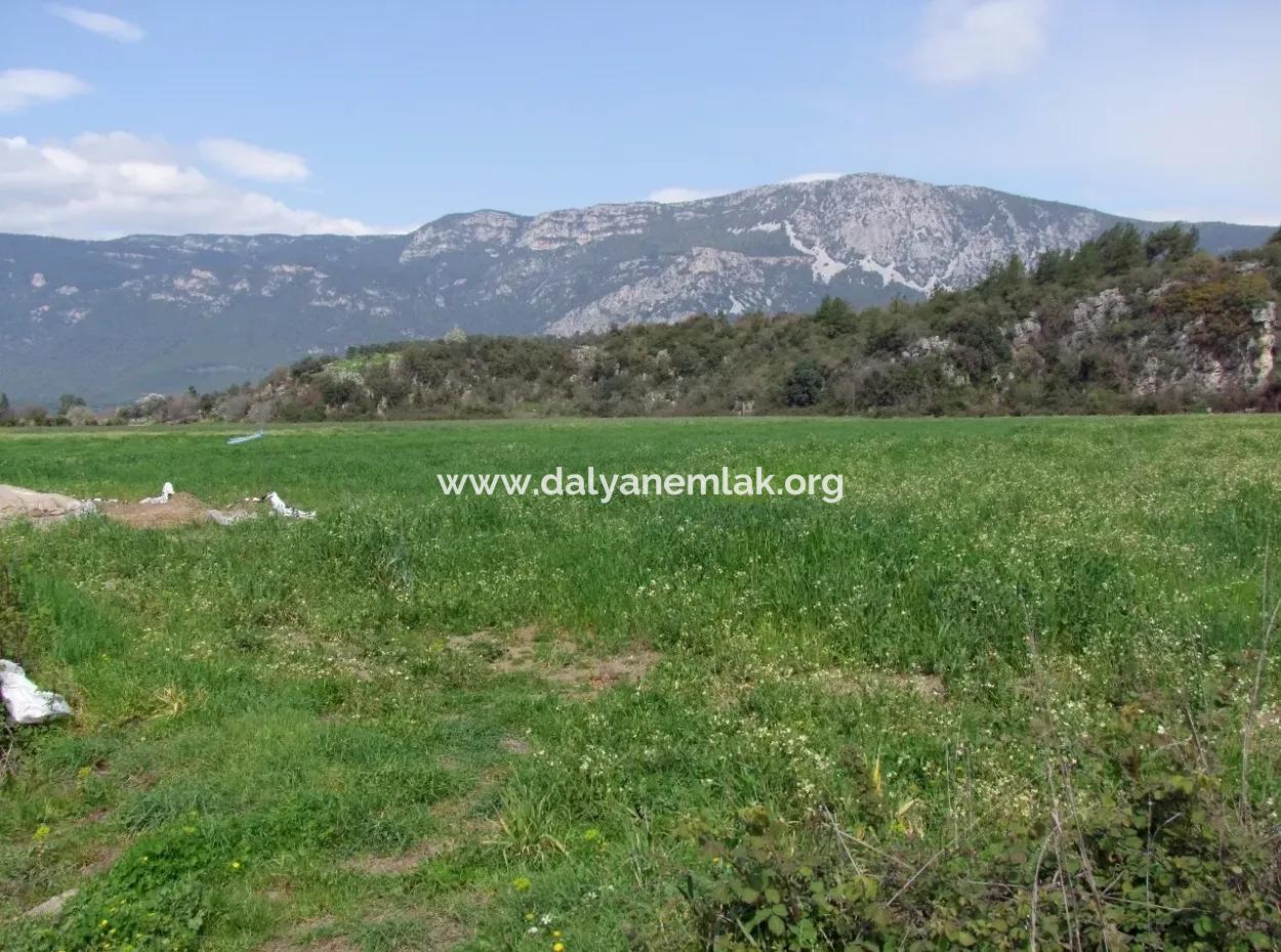 In Akyaka For Sale: Land For Sale Farm For Sale A Farm Near The Sea Of Ars, Yatirimlik 21625M2
