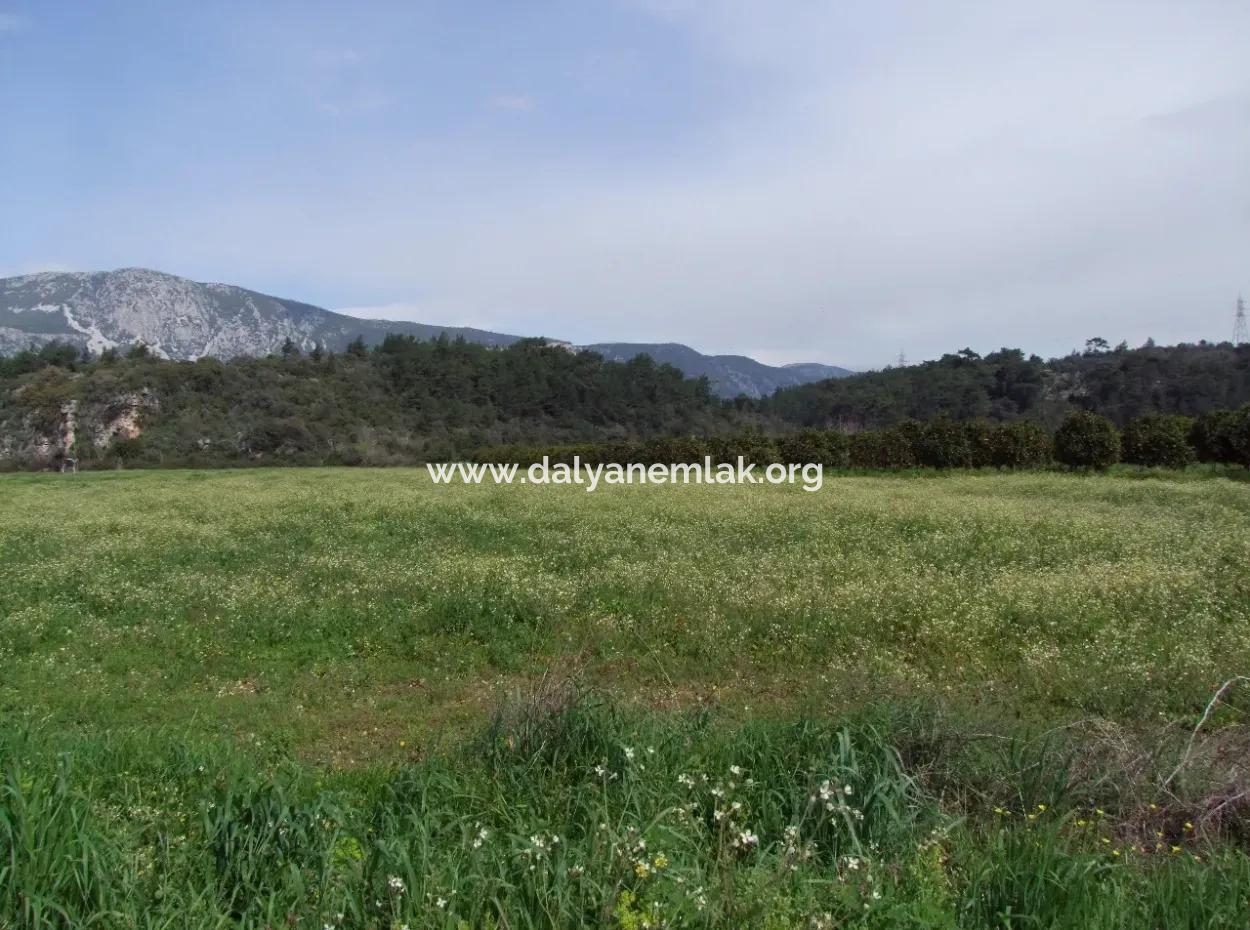 In Akyaka For Sale: Land For Sale Farm For Sale A Farm Near The Sea Of Ars, Yatirimlik 21625M2