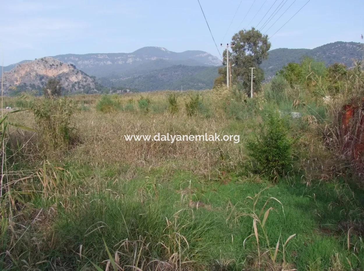 For Sale Land In Dalyan For Sale Dalyan Channel Zero