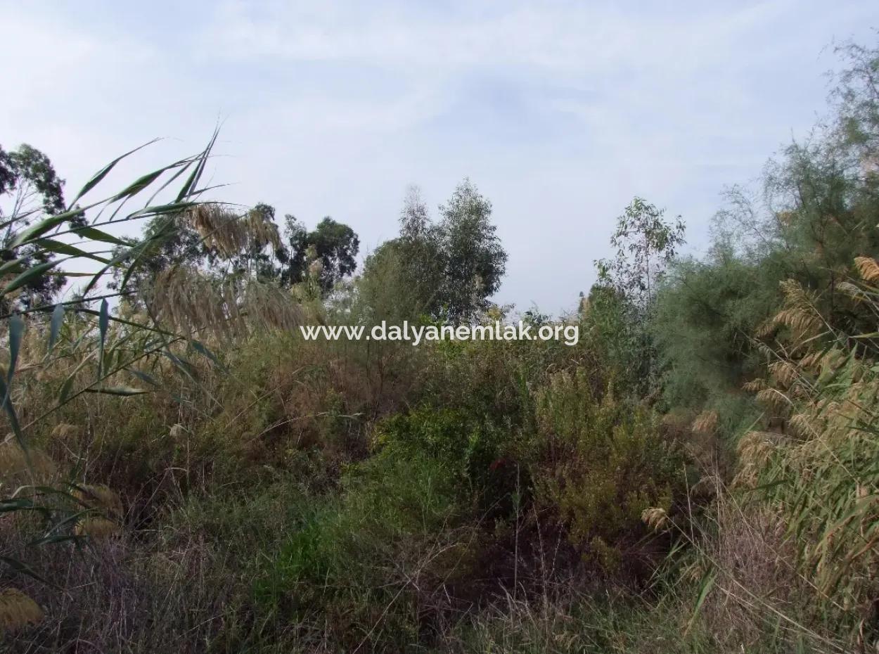 For Sale Land In Dalyan For Sale Dalyan Channel Zero