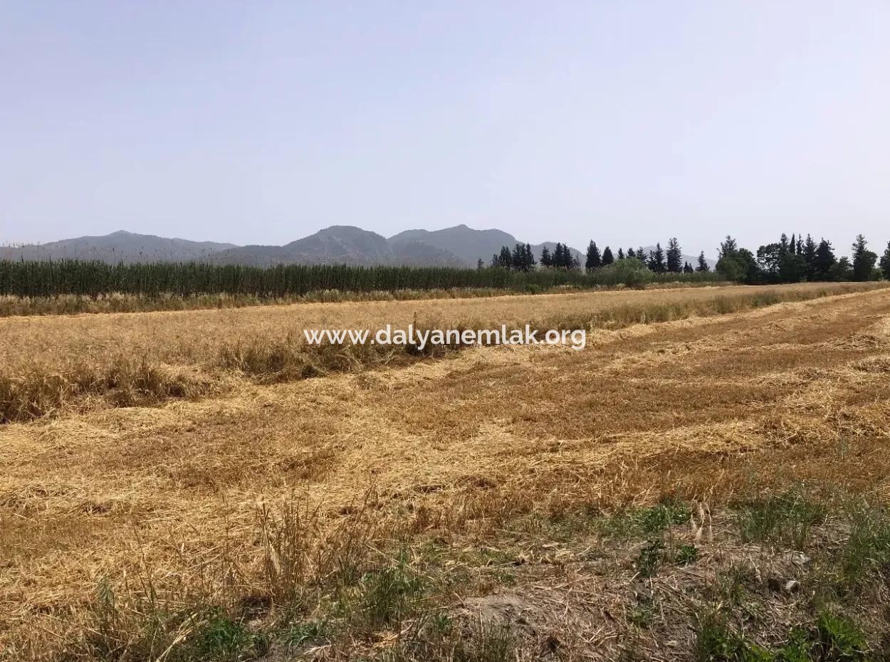 Farm Land For Sale 39 Acres In Eskikoy