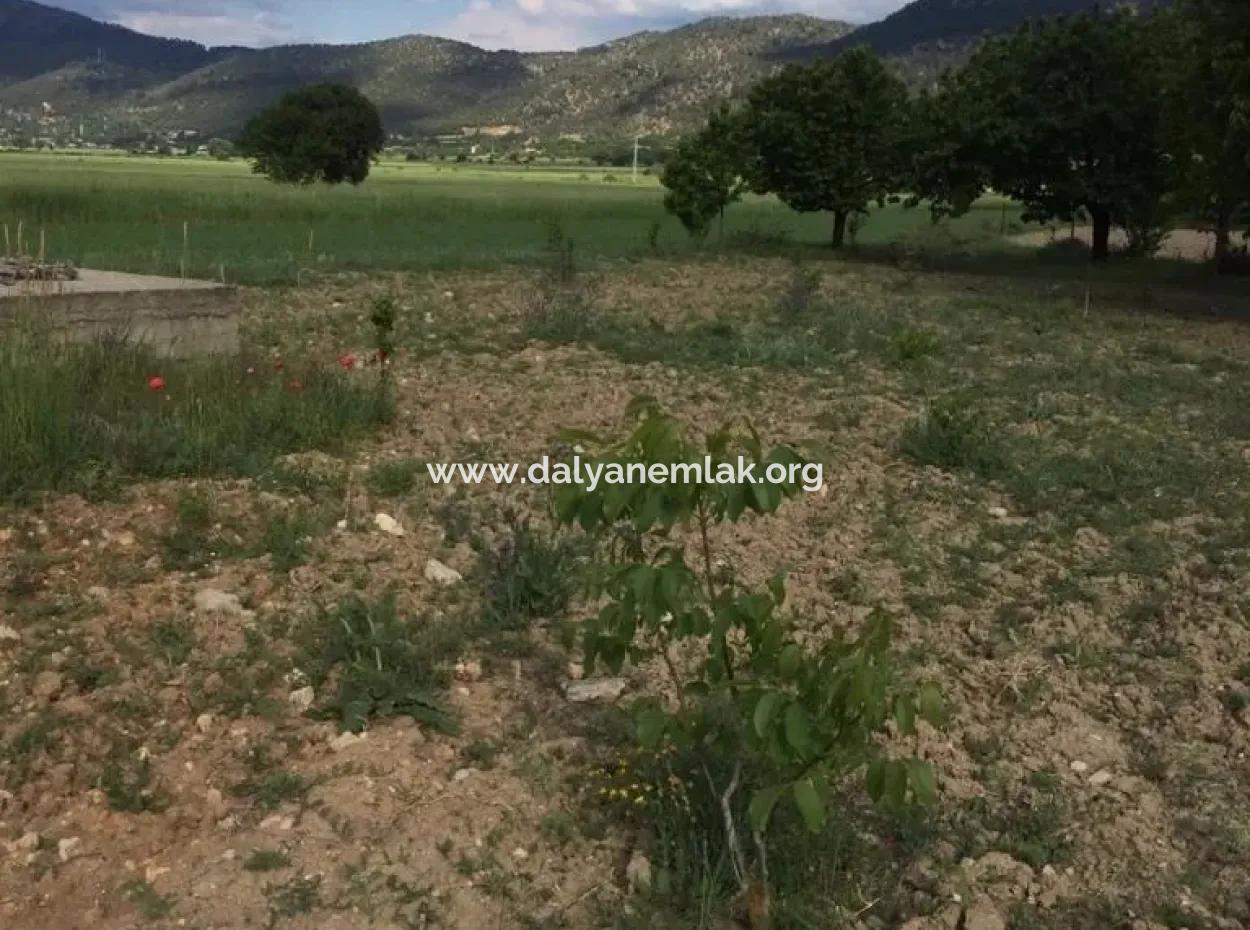 For Sale In St John's, Stabby Plot For Sale Zero In On The Path 1562M2