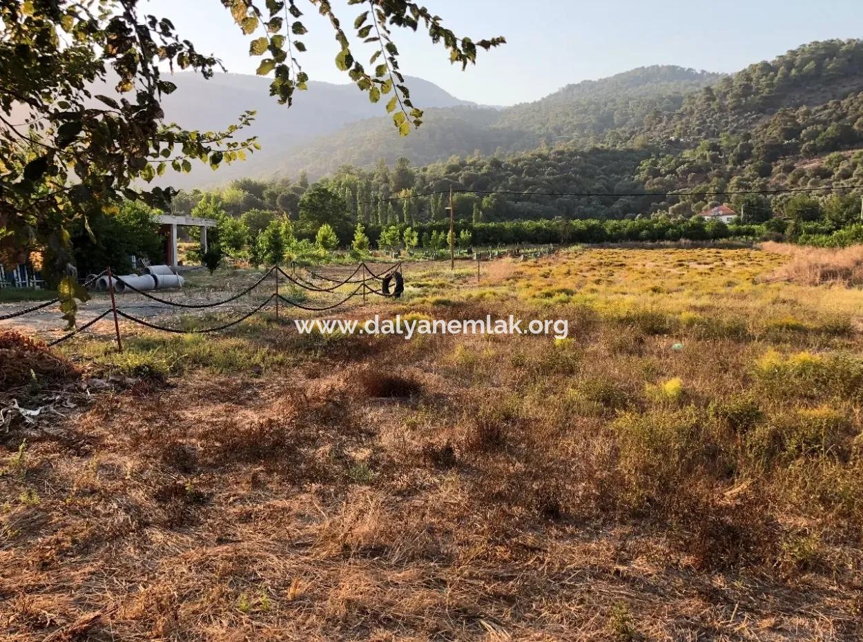 2300M2 Land For Sale Near The Center Of The Land For Sale